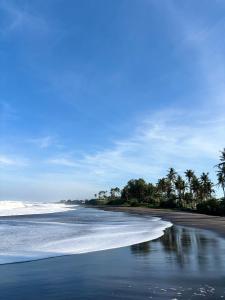 Afbeelding uit fotogalerij van kedungu in Tanah Lot