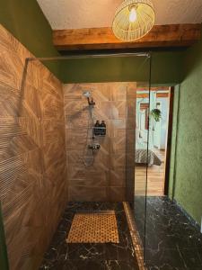 a bathroom with a shower with a glass door at The White House Tripsylvania in Şirnea +11 photos