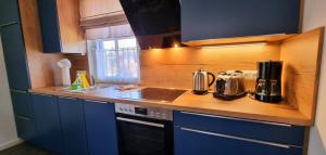a kitchen with blue cabinets and a sink and a stove at Reethaus "Melsa" in Zierow