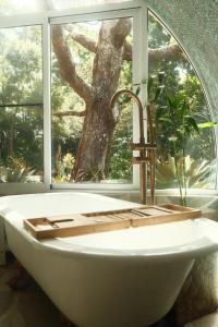 a bath tub in front of a window with a tree at Sunshine Coast Hinterland Igloo Retreat Romantic & Private in Flaxton +33 photos