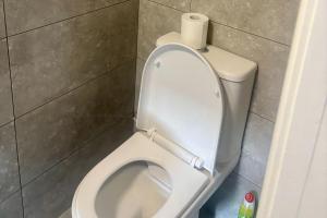 een wit toilet in een badkamer met een rol toiletpapier bij Serene Studio in Dudley in Dudley