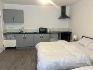 a bedroom with two beds and a kitchen with a sink at Serene Studio in Dudley in Dudley