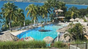 een groot zwembad met palmbomen en de oceaan bij Pause tropicale in Le Diamant