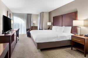 Et tv og/eller underholdning på Comfort Suites Sumter near Shaw AFB