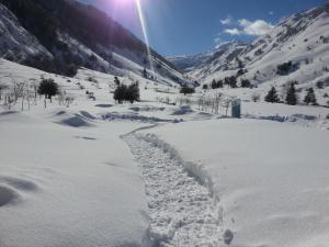 Gîte de montagne du Plateau de Lhers- Accueil randonneurs að vetri til