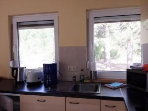 Køkken eller tekøkken på "Ferien Nord-Nordost" Wooster Teerofen "Am Walde" Ferienhaus Komfort + 10 billeder