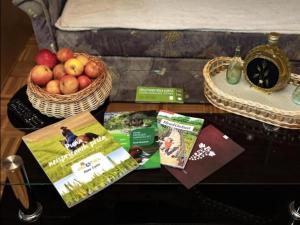 een tafel met een mand met appels en folders erop bij One Bedroom Dream Room 2 in Darda