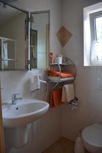 a bathroom with a sink and a mirror and a toilet at Gästehaus Celine in Meuspath +42 photos