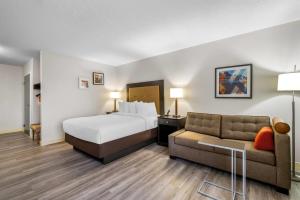 una camera d'albergo con un letto e un divano di Quality Inn Brewerton - Syracuse Oneida Lake Area a Brewerton Altre 34 foto