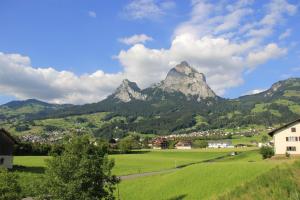 a mountain in the middle of a green field at Ferienwohnung mit Herz in Schwyz