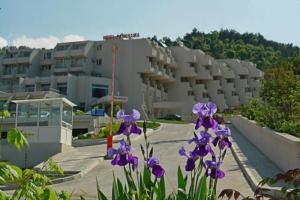 Une bande de fleurs violettes devant un bâtiment dans l'établissement Panorama Hotel, à Sandanski