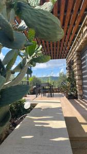 Billede fra billedgalleriet på Το Σπίτι της Ελιάς i Pylos