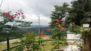 a view of a garden with red flowers on a fence at Skyfall Villa in Chillithodu