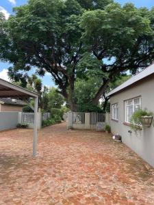 a large tree in front of a house with a driveway at Shady Seringa Accommodation in Vanderbijlpark
