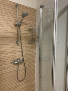 a shower with a shower head in a bathroom at Charmant duplex in Moulins +10 photos