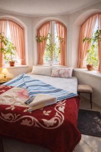 ein Schlafzimmer mit einem Bett und Fenster mit Pflanzen in der Unterkunft Hotel cetate in Cahul