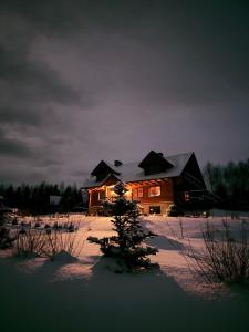 a house with a christmas tree in the snow at Malinowa Chata in Cisna