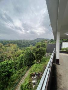 Příroda nedaleko chaty