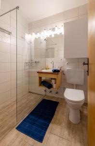 a bathroom with a toilet and a glass shower at Dachstein Blick in Bad Goisern