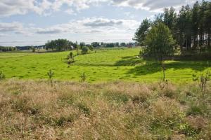 Przyroda w pobliżu tego gospodarstwa agroturystycznego