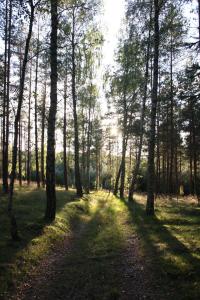 Przyroda w pobliżu tego gospodarstwa agroturystycznego