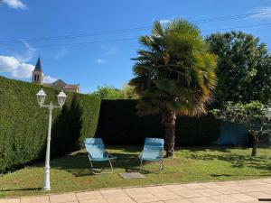 two blue chairs and a palm tree and a street light at Chez Laurence et Thomas in Cercié