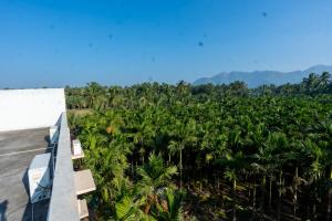 una vista aerea di una piantagione di banane di Aryas Residency- Near Isha Foundation Coimbatore & Karunya University ad Alāndurai