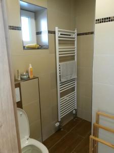 a bathroom with a toilet and a mirror at Ferienbungalow Sonnenwald Bayerischer Wald in Schöfweg +31 photos