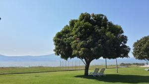 Φυσικό τοπίο κοντά σε αυτό το ξενοδοχείο