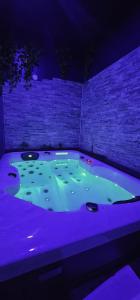 a jacuzzi tub with purple lights in a room at Le Clos Maldier - Gîte Les Ecureuils in Laon