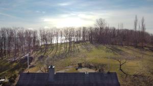 an aerial view of a hill with trees and a field at Ferienhaus Baltic in Lobbe in Lobbe