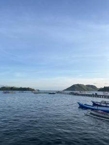 a large body of water with boats and a pier at Fanni tour komodo in Rancakole
