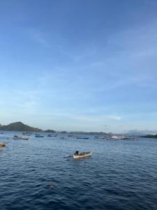 a group of boats in a large body of water at Fanni tour komodo in Rancakole