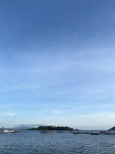 a large body of water with boats in it at Fanni tour komodo in Rancakole