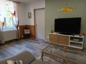 a living room with a large flat screen tv at Cap Vosges 3 étoiles, Jeux et Balnéo, entre Vosges et Alsace in Plainfaing