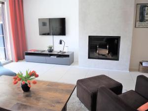 a living room with a fireplace and a tv at Residenza Golf Parco by Fewotessin in Ascona