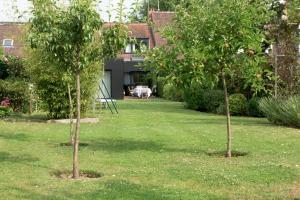 dos árboles en medio de un patio en La Rosière de Marcq, en Marcq-en-Baroeul