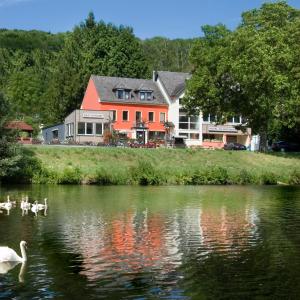 a group of swans in the water in front of a house at Sleep and Go in Minden