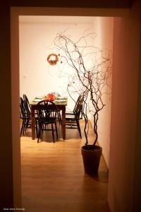 Fotografia z galérie ubytovania Apartament Bukowe Wzgórze v destinácii Stronie Śląskie
