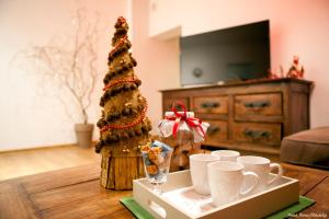 Fotografia z galérie ubytovania Apartament Bukowe Wzgórze v destinácii Stronie Śląskie