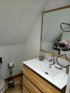 a bathroom with a sink and a mirror at La dépendance in Cour-Cheverny