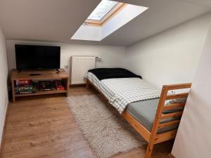 ein Schlafzimmer mit Bett und Flachbildfernseher in der Unterkunft Green House kuća s 4 spavaće sobe in Stara Sušica