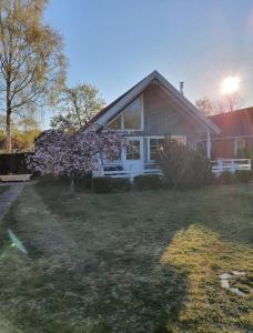 Fotografie z fotogalerie ubytování Ferienhaus 74 v destinaci Boltenhagen