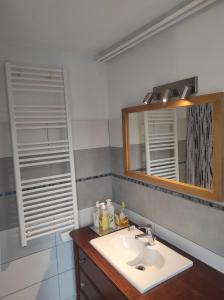 un bagno con lavandino e specchio di Chambre entrée indépendante a Lodève