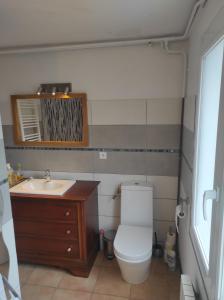a bathroom with a toilet and a sink and a mirror at Chambre entrée indépendante in Lodève +1 photo