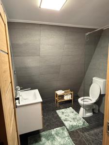 un bagno con un water e un lavandino di A Frame Loft Calimanesti a Călimăneşti Altre 16 foto