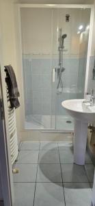 een badkamer met een douche en een wastafel bij Bed & Breakfast Illchirch chez l'habitant in Illkirch-Graffenstaden