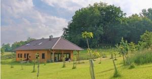 a small house in a field with palm trees at Medová chaloupka in Černá Voda