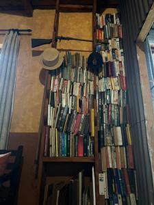a bunch of books on shelves in a room at Ouma se Plaashuis - Martine se kamer in Van Reenen