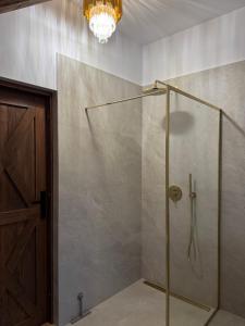 a shower with a glass door and a chandelier at Villa Podhalańska 1959 in Biały Dunajec +24 photos